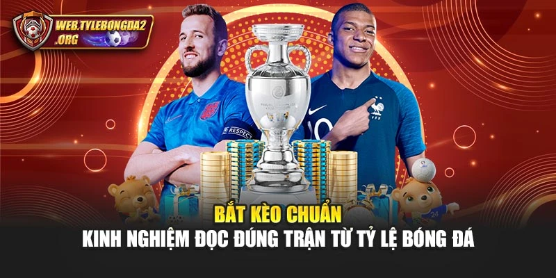 Bắt Kèo Chuẩn – Kinh Nghiệm Đọc Đúng Trận Từ Tỷ Lệ Bóng Đá