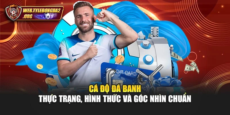 Cá Độ Đá Banh – Thực Trạng, Hình Thức Và Góc Nhìn Chuẩn