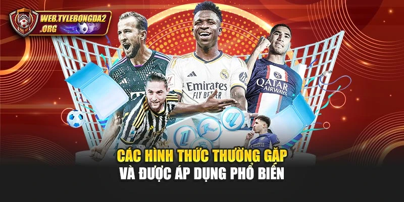Các hình thức thường gặp và được áp dụng phổ biến