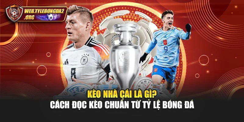 Kèo Nhà Cái Là Gì? Cách Đọc Kèo Chuẩn Từ Tỷ Lệ Bóng Đá