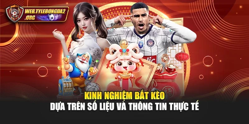Kinh nghiệm bắt kèo dựa trên số liệu và thông tin thực tế