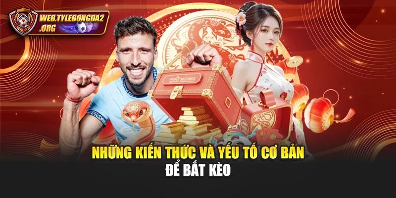 Những kiến thức và yếu tố cơ bản để bắt kèo