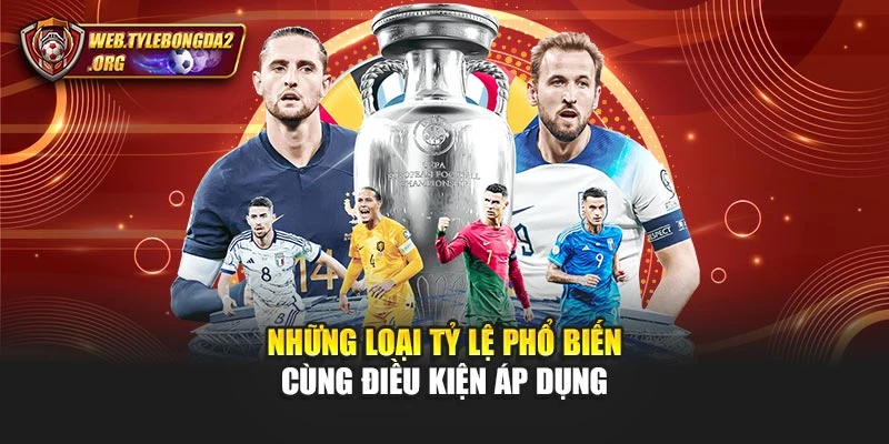 Những loại tỷ lệ phổ biến cùng điều kiện áp dụng