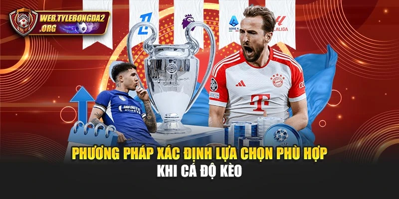 Phương pháp xác định lựa chọn phù hợp khi cá độ kèo