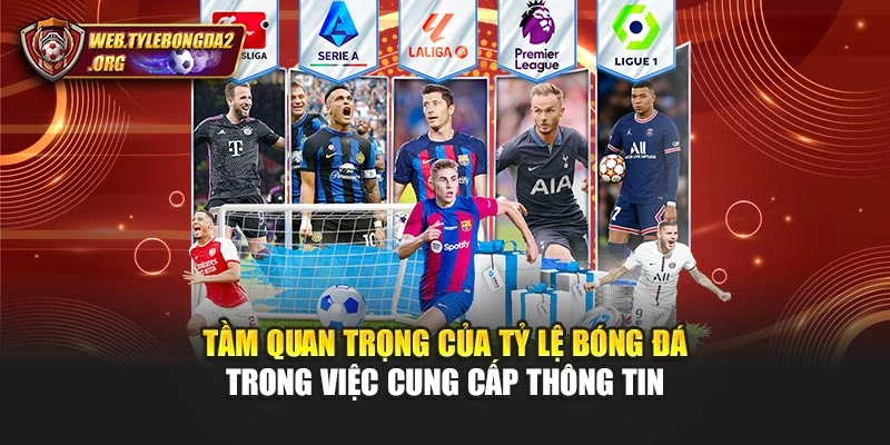 Tầm quan trọng của Tỷ lệ bóng đá trong việc cung cấp thông tin