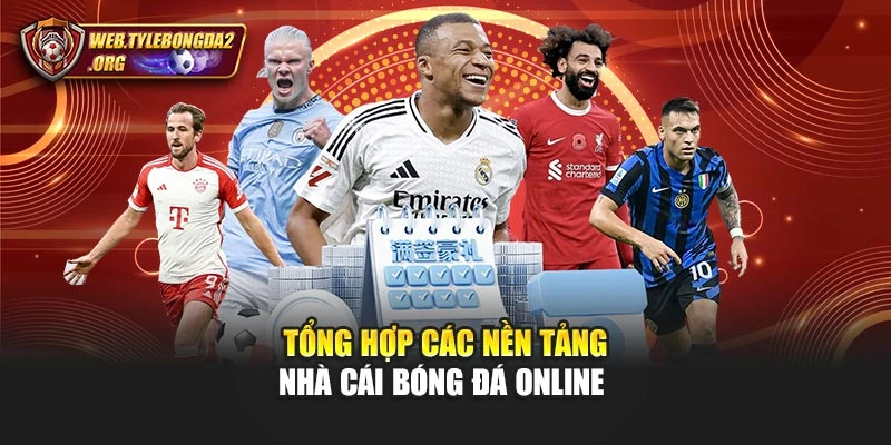 Tổng hợp các nền tảng nhà cái bóng đá online